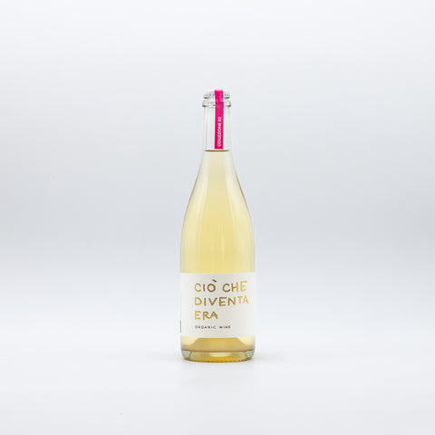 VIN | CIÒ CHE DIVENTA ERA – COLLECTION 2