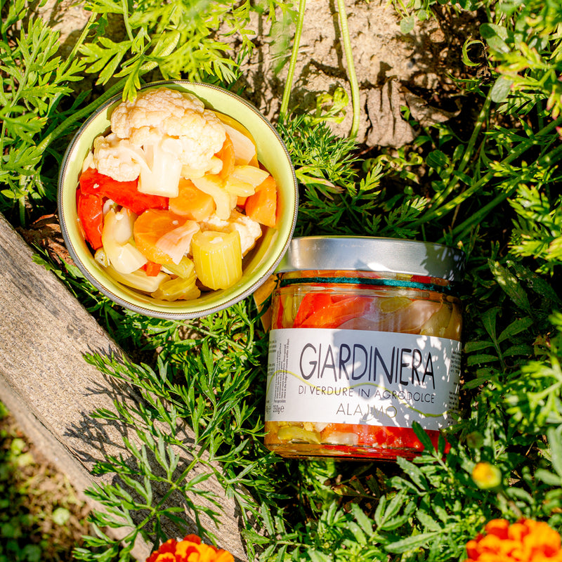 ALAJMO JARRED GOODS | GIARDINIERA PICKLED VEGETABLES 