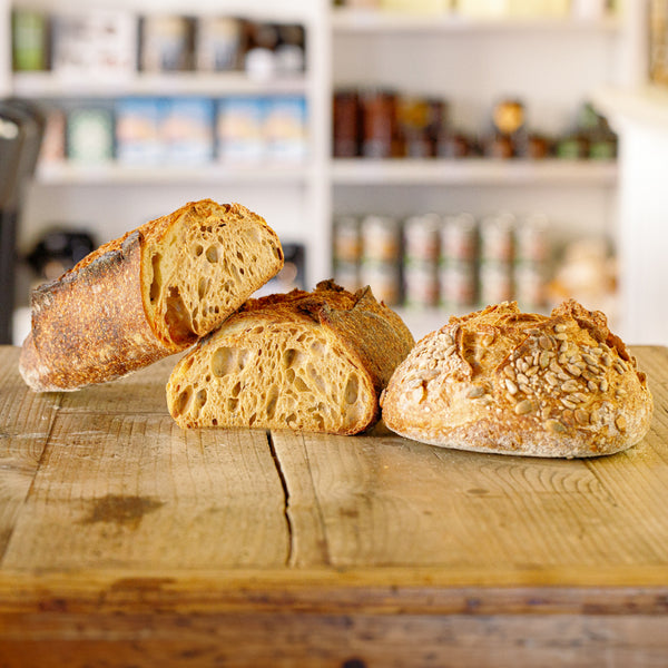 DISPENSA ALAJMO | PANE INTEGRALE DI MAX